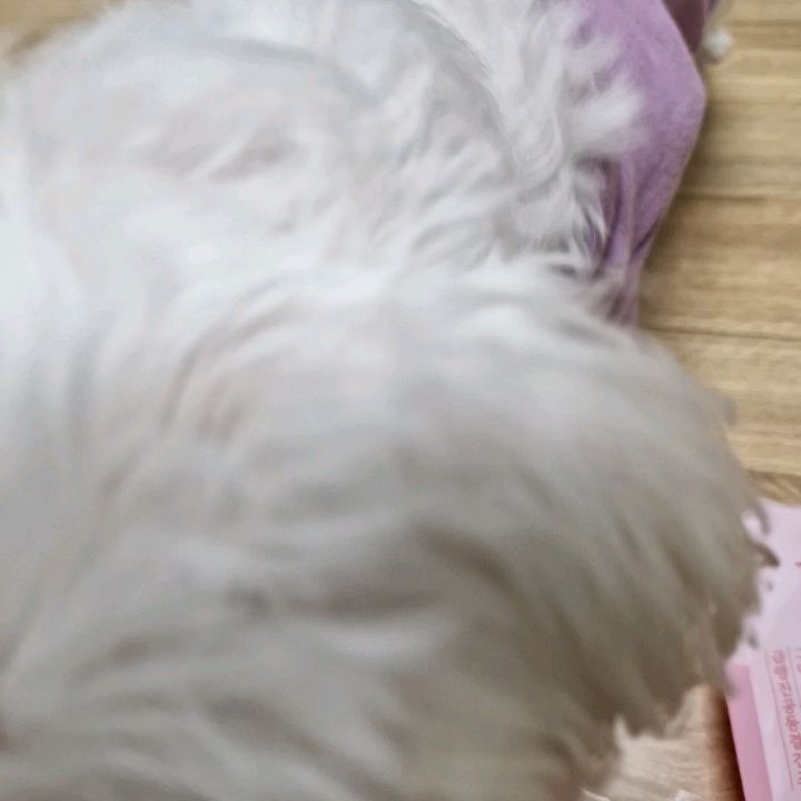 #협찬 국개대표한입트릿 치킨맛!

 신선한 양질의 원물만을 100%사용한 국내생산 국개대표 한입트릿이에요.
영하 30~40도에서 원육을 급속으로 동결시켜 영양소 파괴를 최소화한 
급속냉각공법으로 만든 동결건조간식으로 한 입에 쏙 들어가는 사이즈로
강아지, 고양이 모두 급여가능해요.
화학첨가물 전혀 없이 오직 원재료만들 사용하여 기호성이 더 좋고 
밥 위 토핑이나 노즈워크, 산책 훈련 보상용으로 활용가능해요.
저는 직접 강아지밥을 만들어 먹여서 밥 위 토핑으로 뿌려줘 봤는데
요즘 밥 잘 안 먹더니만 한입트릿 덕분에 밥 잘 먹어도 정말 좋아요.
만족 만족 대만족!!

https://www.coreadog.com/shop/shopdetail.html?branduid=10548584&xcode=002&mcode=000&scode=&type=P&sort=manual&cur_code=002&search=&GfDT=bml1W10%3D

#국개대표 #국개대표한입트릿 #한입트릿 #국개대표한입트릿치킨 #국개대표동결건조 #강아지동결건조 #고양이동결건조 #강아지동결건조간식 #고양이동결건조간식 #동결건조닭고기 #급속냉각동결건조 #강아지간식 #반려동물간식 #반려견간식