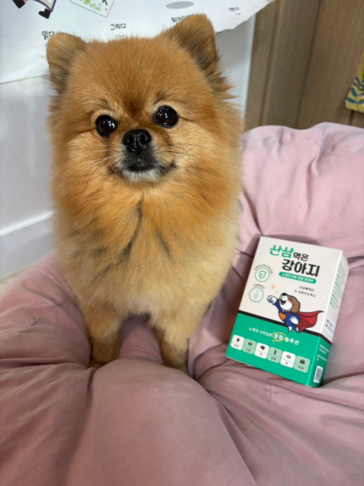 강아지영양제 산삼먹은강아지 노령견 전용 종합비타민 추천