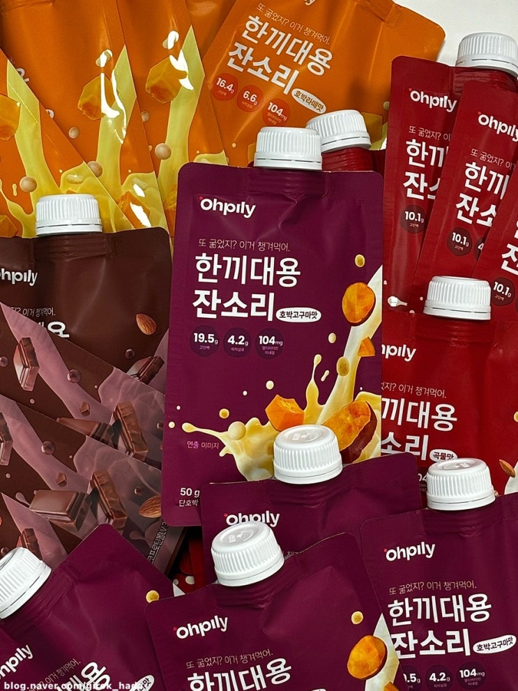 오필리 한끼대용 잔소리 다이어트 쉐이크 4종 후기