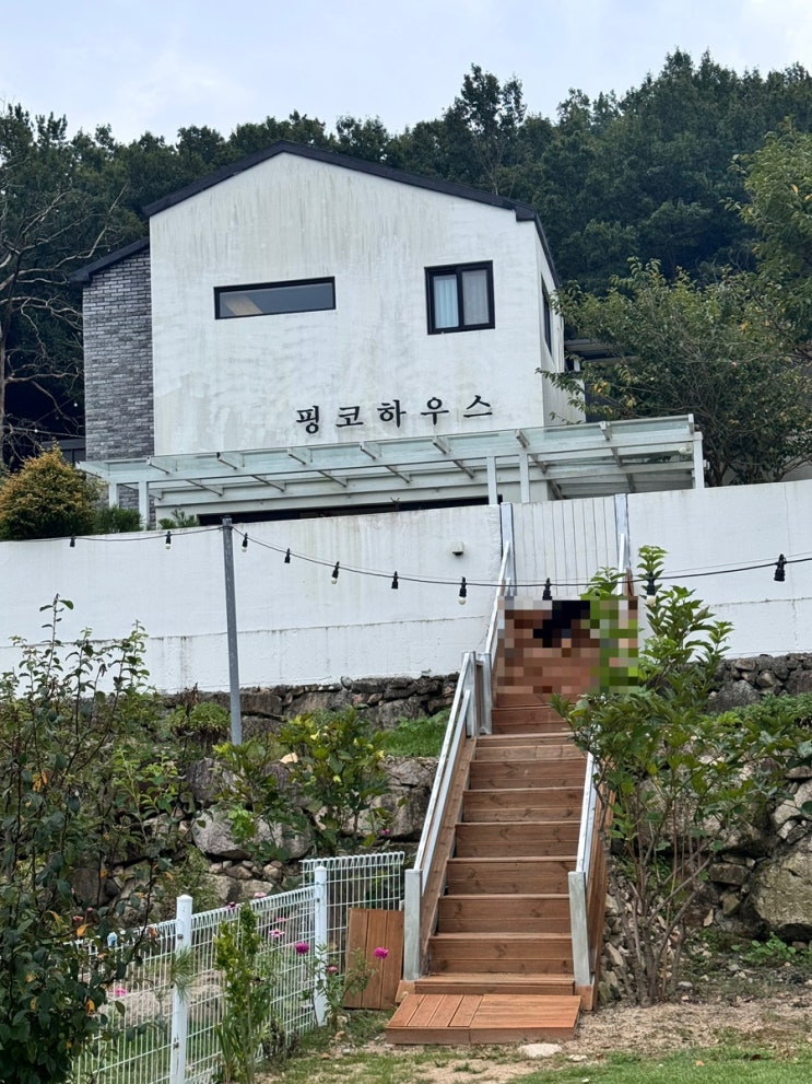 [ 밀양 ] 핑코하우스 :  경남애견펜션 애견독채펜션 내돈내산