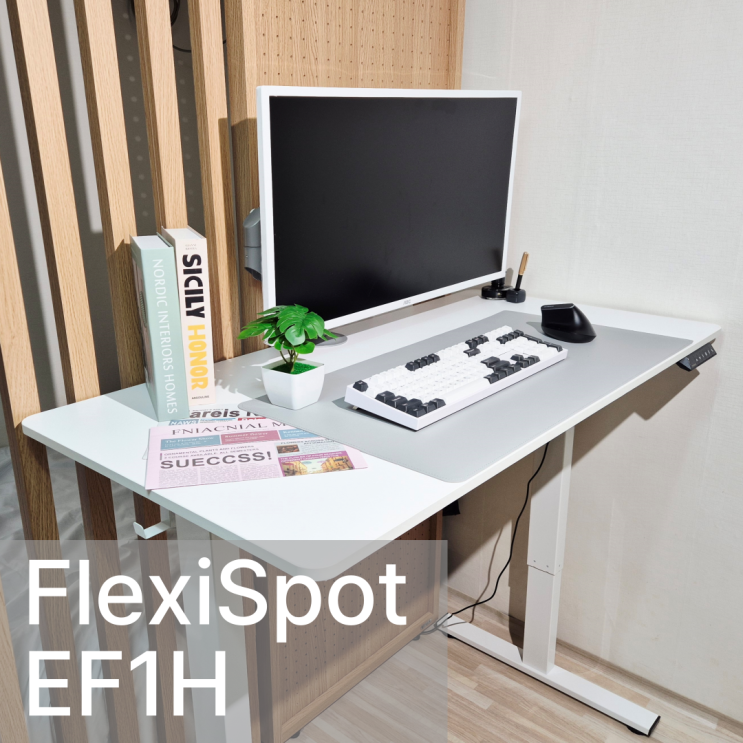 가성비 컴퓨터 책상, FlexiSpot 모션데스크 EF1H 리뷰