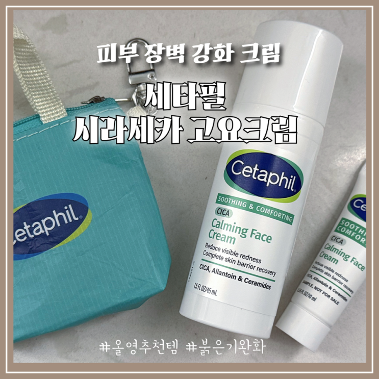민감피부 탈출 세타필 시라세카 고요크림으로붉은기 진정&장벽강화 완성 후기