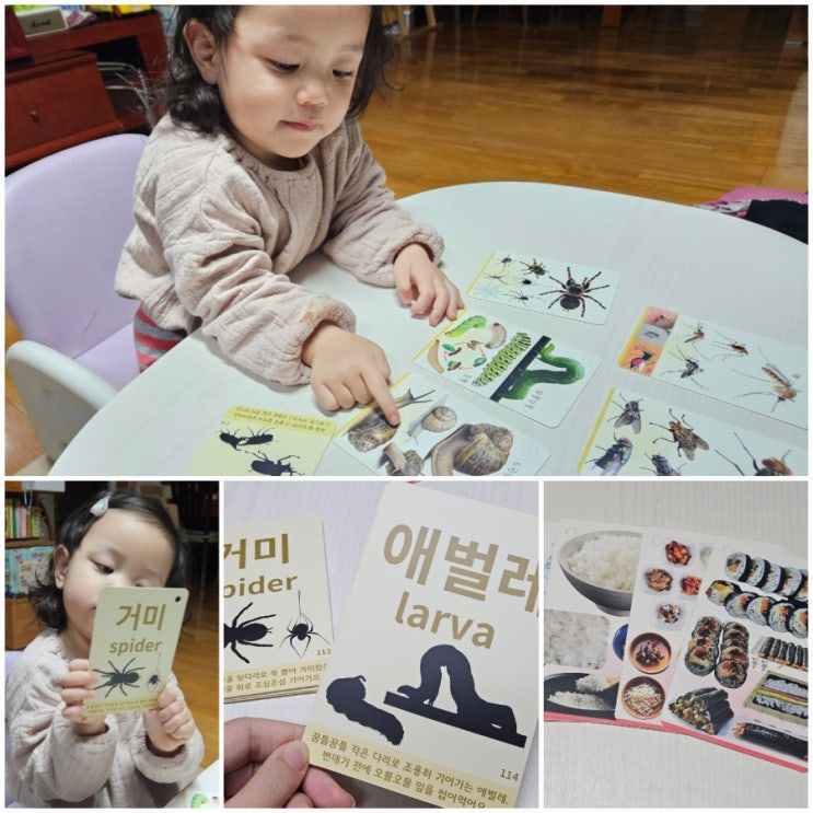 노리 낱말카드 한글카드 영어카드 굿게임에듀 낱말카드