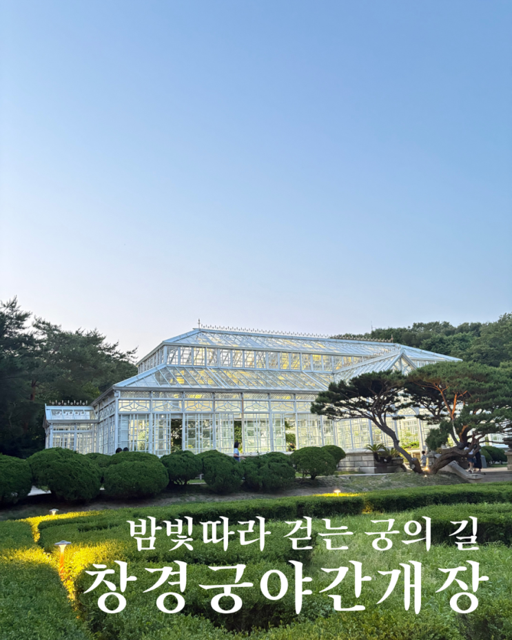 [2025 창경궁 야간개장 총정리] 기간·시간·입장료·관람 꿀팁까지!