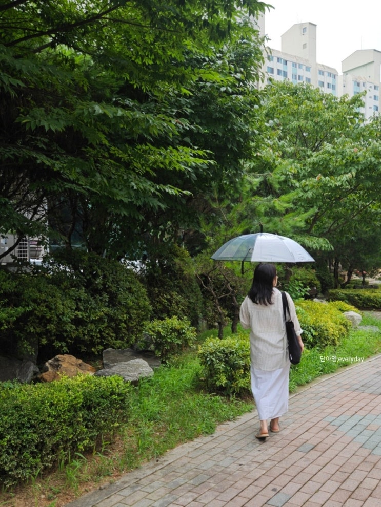 크로커다일우산 레인앤훼밀리 에서 투명장우산 겟