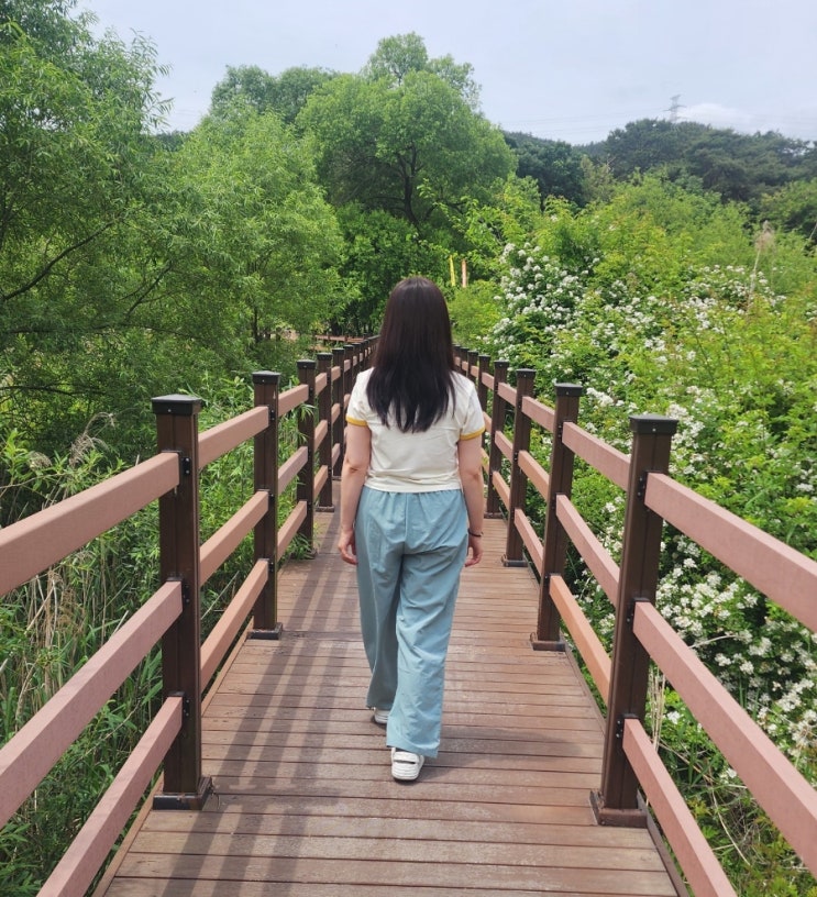 86-IRO284 [워터프루프] 윈드브레이커 와이드 밴딩 팬츠 편하고 시원한 바지