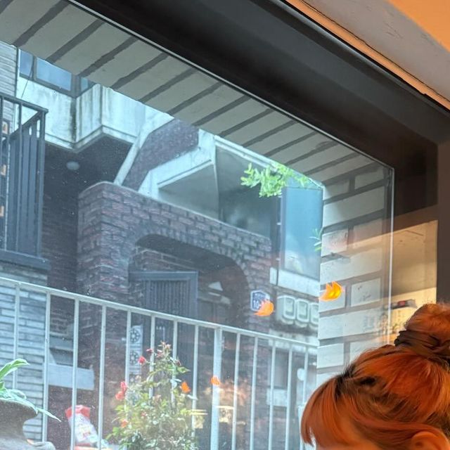 응비🧚‍♀️ on Instagram: "#광고
인테리어 이뿌고 휴일없이 주7일 영업하는 야키도리집 찾았댜….🫶 크 잠깐 일본 다녀왔슴다

성수 갈 분들 한번 가보세오👍 사이드도 잘 되어있어서 일차로 가도 좋고 간단한 안주 먹으면서 2차하러 가기도 좋아요오오

꼬치랑 라멘 치킨난반 하이볼까지 😋
니츠미캉 하이볼은 여름 한정이니 한번 먹어보시는것도 추천🫶

본지미,카와,세세리,스니기모,하츠 꼬치 먹었는데 말모 냄시 안나고 다 맛있….😋

라멘은 비와서 국물 필요해서 시켰는데… 너무 맛있댜 돈코츠 까지 넉넉하게 들어있다니👍

한국에서는 치킨난반보다는 치킨 가라아케 많이 팔아서 많이 먹을 기회 없었는뎅 먹어서 아주 기분좋았다🙌

바 자리랑 테이블 자리 나눠있어서 데이트 하기도 좋아 보였다….🙄 나는 성클팍이나 뚝숲 갔다 갈랩 🫠

아 그리고 사장님 센스 쵝옹 화장실에 머리끈,가글,핸드크림 까지 있었다👍

#성수술집#성수동맛집#성수이자카야#밤토리#성수동야키토리#뚝섬역술집#성수동술집#서울숲술집#뚝섬역맛집#성수핫플#성수동이자카야"