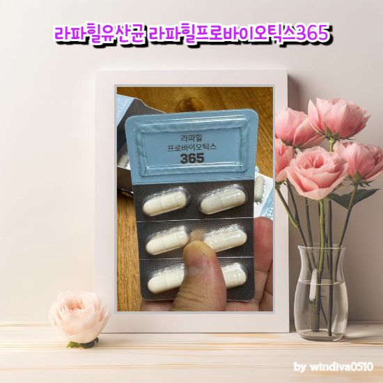 라파힐유산균 라파힐프로바이오틱스365 남편선물로 추천해요