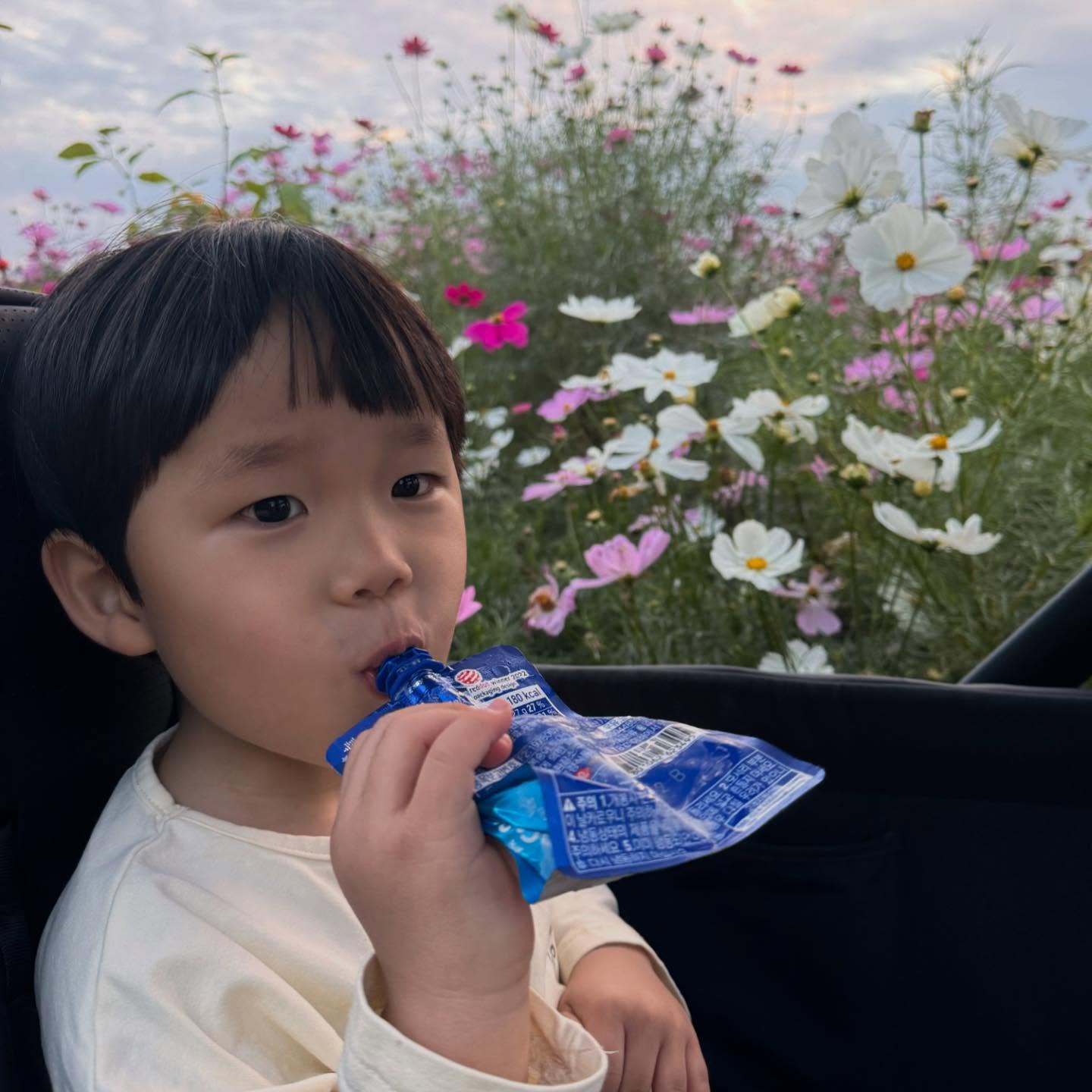 꽃보다예쁜우리아들❤️
사랑해🥰
.
#꽃보다아들🌸 #43개월아기 #청개구리아들 #제대로된사진이없음🤦🏻‍♀️ ㅋㅋㅋ
