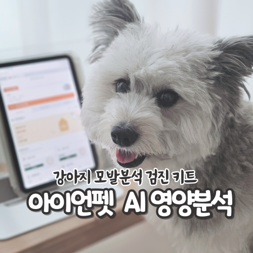 강아지 모발검사 아이언펫 집에서 하는 간편한 AI 건강검진 키트