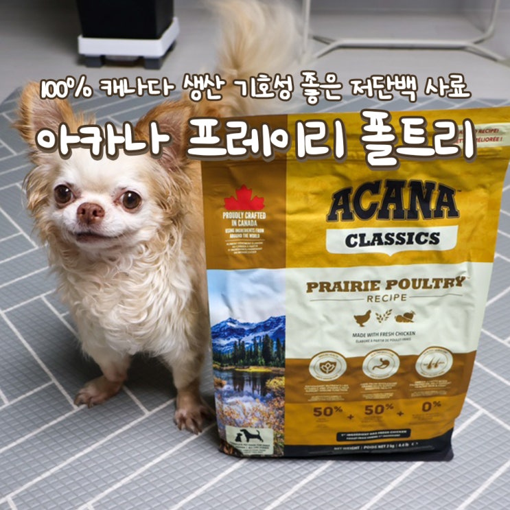 기호성 좋은 저단백 강아지 사료 추천 아카나 프레이리 폴트리 독