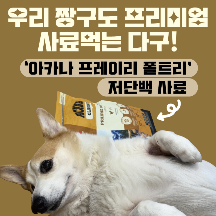 캐나다에서 온 강아지저단백사료 / 김짱구도 좋아하는 아카나프레이리 폴트리 사료