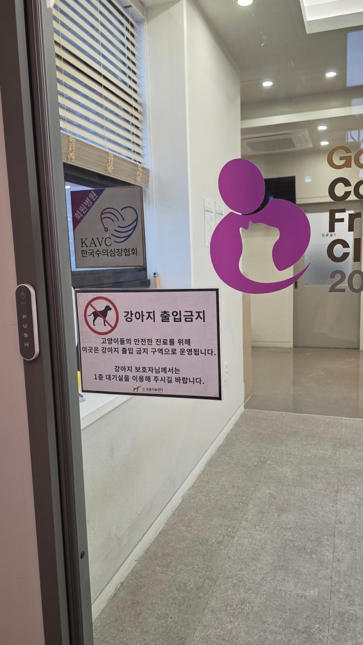 대전동물병원 숲 동물의료센터