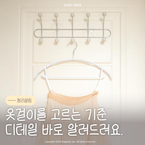 논슬립 옷걸이 정착인생템 어깨뿔 회전형 비오씨추천 실패많이 했다면 돈낭비방지 하자
