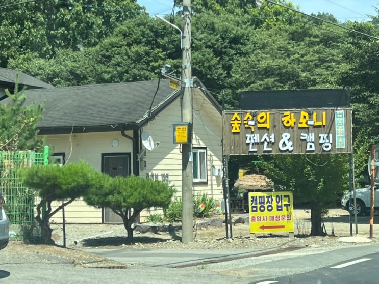 숲과 물이 어우러진 힐링의 시간, 괴산 펜션 ‘숲속의하모니’ 후기 🌲