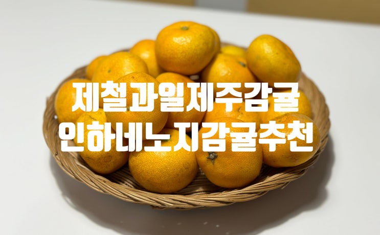 제철과일 제주감귤 인하네 새콤달콤 제주 노지감귤 당도 보장해!
