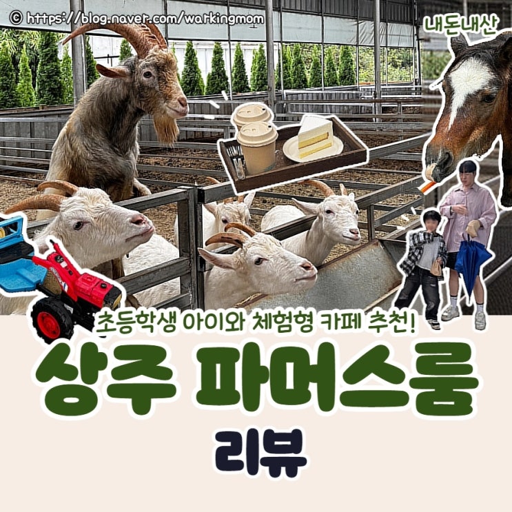 [상주 체험형 카페] 초등학생 아이랑 대구 근교 가볼만한 먹이 체험 카페 파머스룸