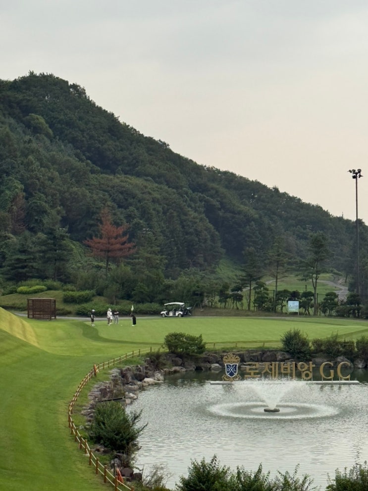 경기도 광주 골프장 : 8월 로제비앙cc 야간라운딩 후기 및 잔디상태