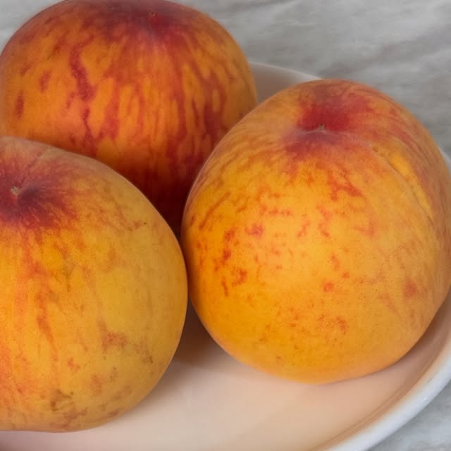 윤져니 on Instagram: "#광고 🍑 복숭아 덕후들 모여라!
요즘 딱! 입 안 가득 부드럽고 달콤한 말랑이 복숭아에 푹 빠졌어요💛

이번에 주문한 건 월간 제철 과일 스토어의 말랑이(황도) 복숭아 로열과 1kg!
여기는 월별로 가장 맛있는 제철 과일만 엄선해서 판매하는 스토어라
믿고 주문할 수 있어요.

복숭아 중에서도 저는 단연코 ‘물복파’ 🙋🏻‍♀️
말랑하게 익어서 입에 넣는 순간 흐르는 과즙,
껍질 깔 때부터 달콤한 향이 퍼지는 황도 복숭아의 매력… 진짜 미쳤어요.

특히 월간 제철 과일 스토어에서 받은 말랑이는
과육이 너무 부드럽고,
단맛과 새콤함이 황금 비율로 어우러져서
하나 먹고 나면 자연스럽게 손이 또 가요.

배송도 신선하게 잘 도착했고,
1kg 소량 구성이라 가볍게 맛보기 딱 좋아요.
과일 한 박스 사면 물러지기 전에 못 먹을까 걱정됐던 분들에게는
이런 구성이 진짜 꿀템! 🍯

껍질째 먹어도 부담 없고,
요거트 토핑, 샐러드, 아이스크림에도 곁들여 봤는데
어디에 올려도 주인공처럼 빛나요✨

말랑이 좋아하는 사람이라면 무조건 만족할 맛!
월간 제철 과일 스토어에서 제철 과일 쇼핑, 진심 추천드려요🍑

#복숭아#털복숭아#황도복숭아#백도복숭아#딱복#물복#딱딱이복숭아#물렁복숭아#꿀당도복숭아#복숭아제철#월간제철과일#딱복숭아#물복숭아 @monthly_seasonal_fruits"