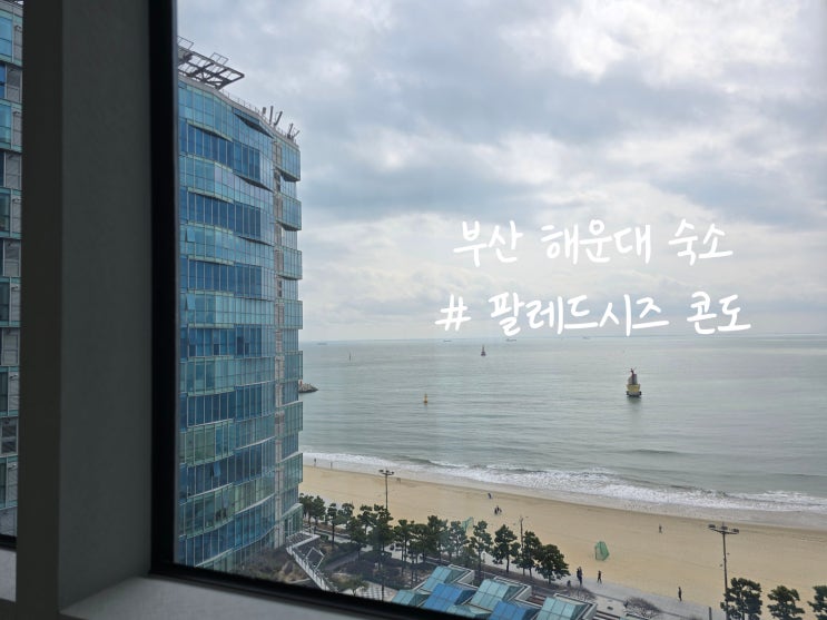 11월 부산여행 해운대 숙소 팔레드시즈 콘도 추천. 부산 오션뷰 가성비 호텔