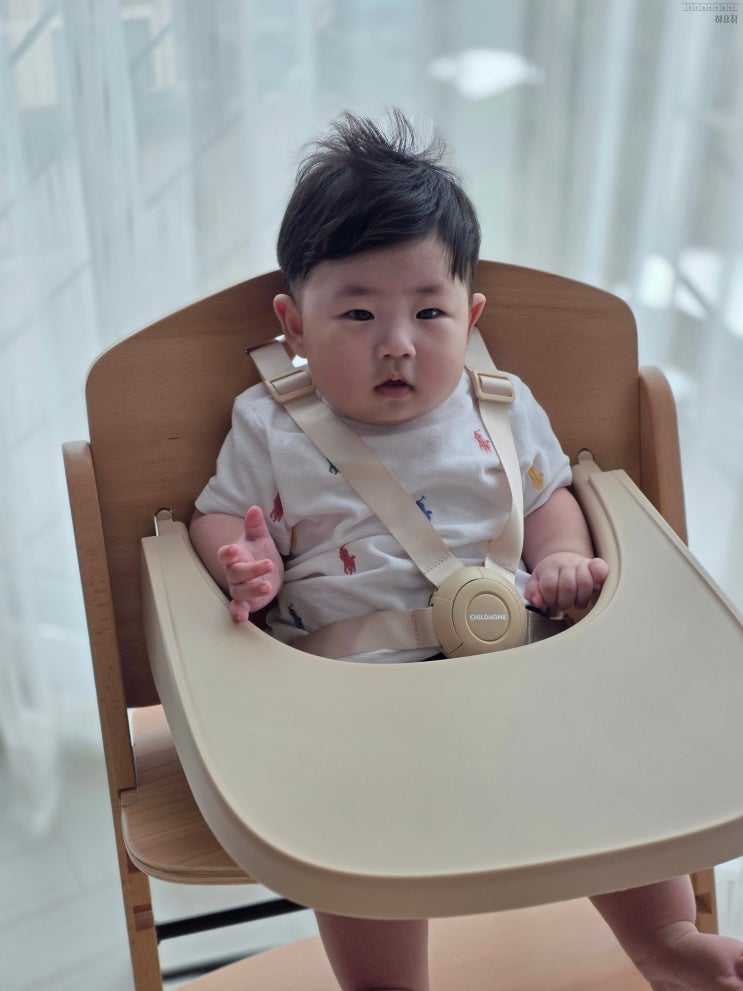 아기 원목 하이체어 추천 차일드홈 에보짓 하이체어 아이와 함께 자라요