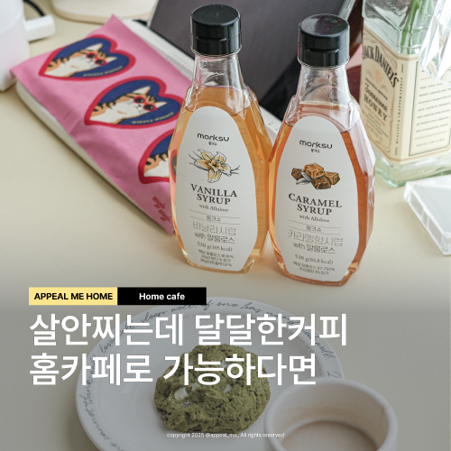 저당제로칼로리 시럽 몽크슈 선물세트