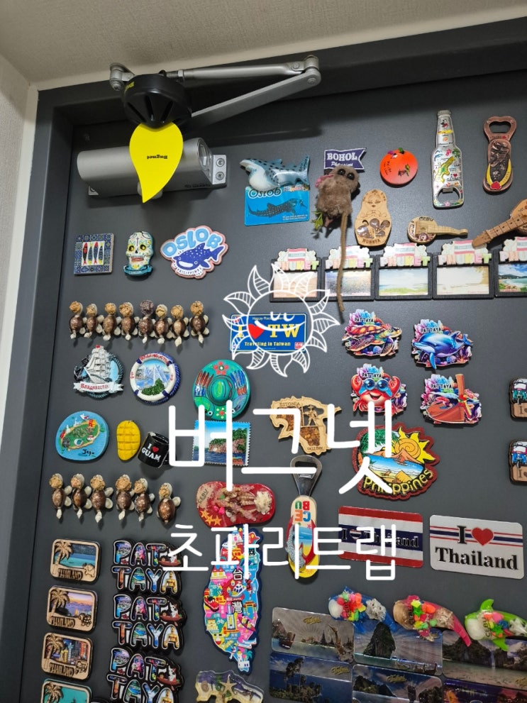 버그넷 초파리트랩 간단하게 설치하기