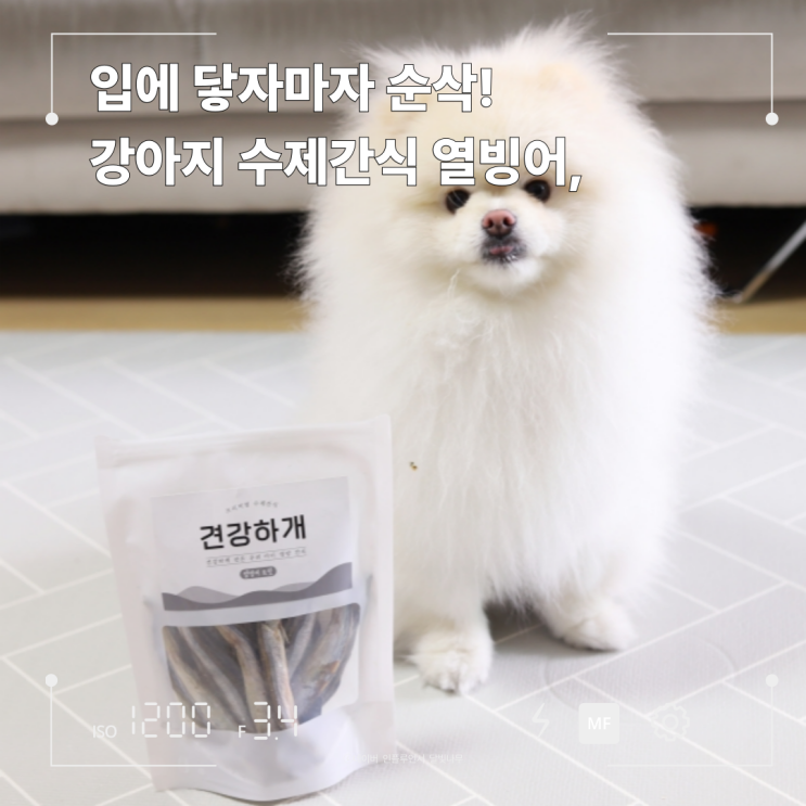 견강하개 강아지 열빙어 수제간식, 강아지 동결건조 간식 추천!