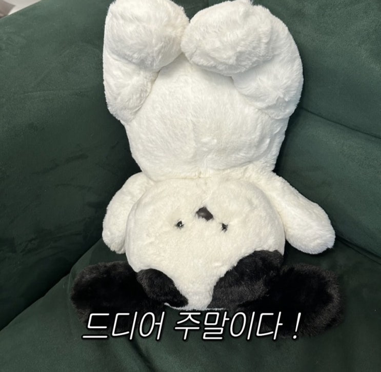 오늘, 우리 사진관 광명 셀프 사진관