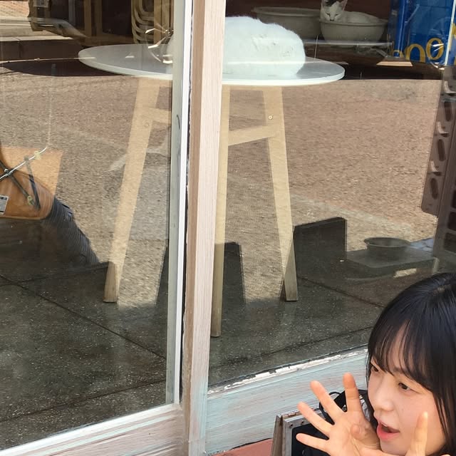 유진 on Instagram: "#광고 

스탠다드에러 헤비 워싱 버뮤다 데님팬츠 딥블루 

여름에 찰떡인 색과 빈티지 컬러라 느낌이 좋은 바지 👖
두껍지 않고 원단이 부드러워서 가을까지 입기 좋은 👖👖

버뮤다 너무 좋-다 .. 🥰 
-
-
-
#광고#STANDARDERROR #Denim #DenimPants #Pants#스탠다드에러#바지맛집 #데님#데님팬츠#버뮤다#바뮤다팬츠#바지#바지추천#남여공용팬츠#워싱팬츠#와이드팬츠#와이드바지#데일리룩 #운리단길 #운천동카페"