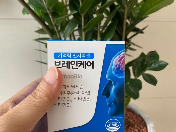 포스파티딜세린 효능 기억력 인지력엔 브레인케어