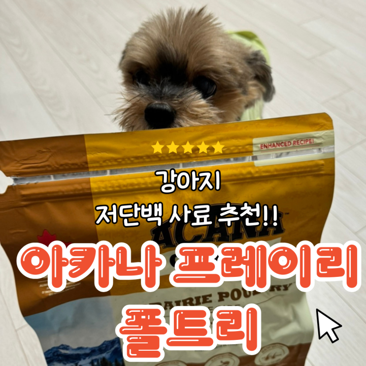 아카나 프레이리 폴트리 2kg 리뷰: 강아지 저단백 사료 추천! 우리 강아지 잘 먹는 사료로 추천! 🐶❤️