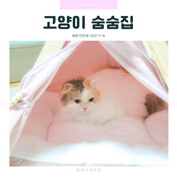 고양이 숨숨집 침대로 사용하기 너무 좋은 꽁냥꽁냥제이