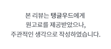 맥세이프차량용거치대 충전기 탱글우드 카멜레온 엠비언트 라이트링