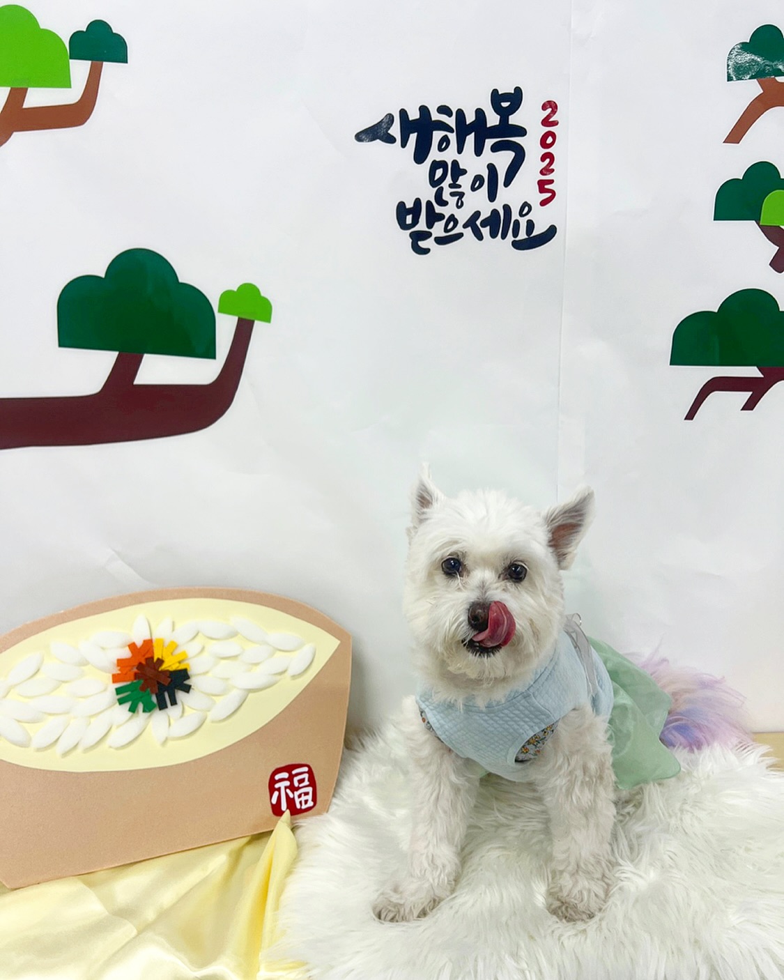 새해 복 많이 먹개🐶
.
.
#믹스견 #믹스견은사랑입니다 #믹스견그램 #애견유치원 #강아지유치원 #노견스타그램 #노견일상 #새해복많이받으세요 #새해맞이