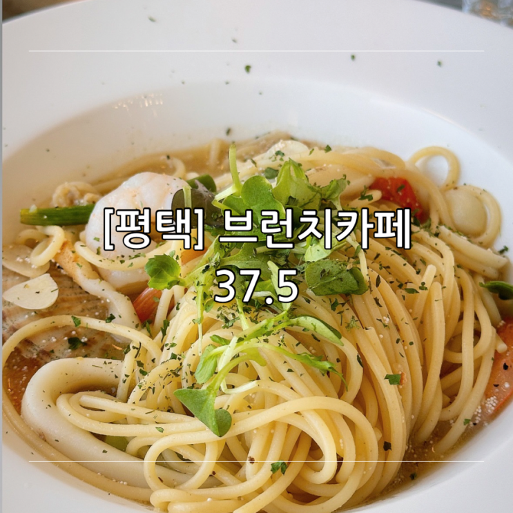 [평택] 브런치 카페 추천 37.5 명란 오일 파스타 맛집