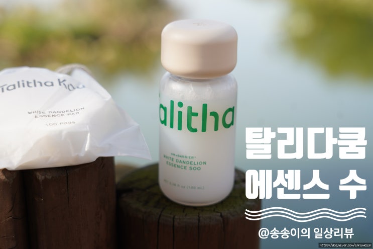 탈리다쿰 에센스 수 사용후기 (ft. 육아로 지친 남편 피부 살리기 프로젝트...)