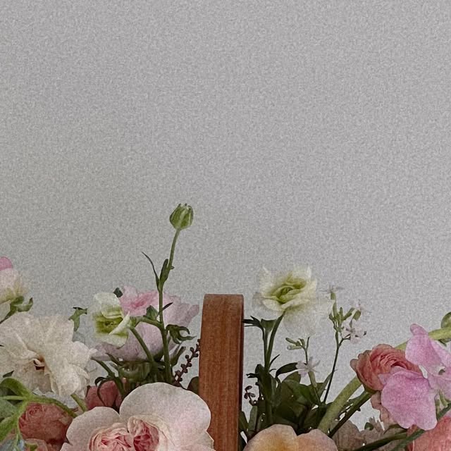 민키쀼¨̮ on Instagram: "너무 예뻤던 원데이💐"