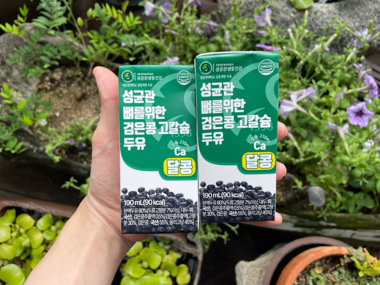 두유 추천! 특허성분으로 몸에 더 좋은 성균관 검은콩 고칼슘 두유