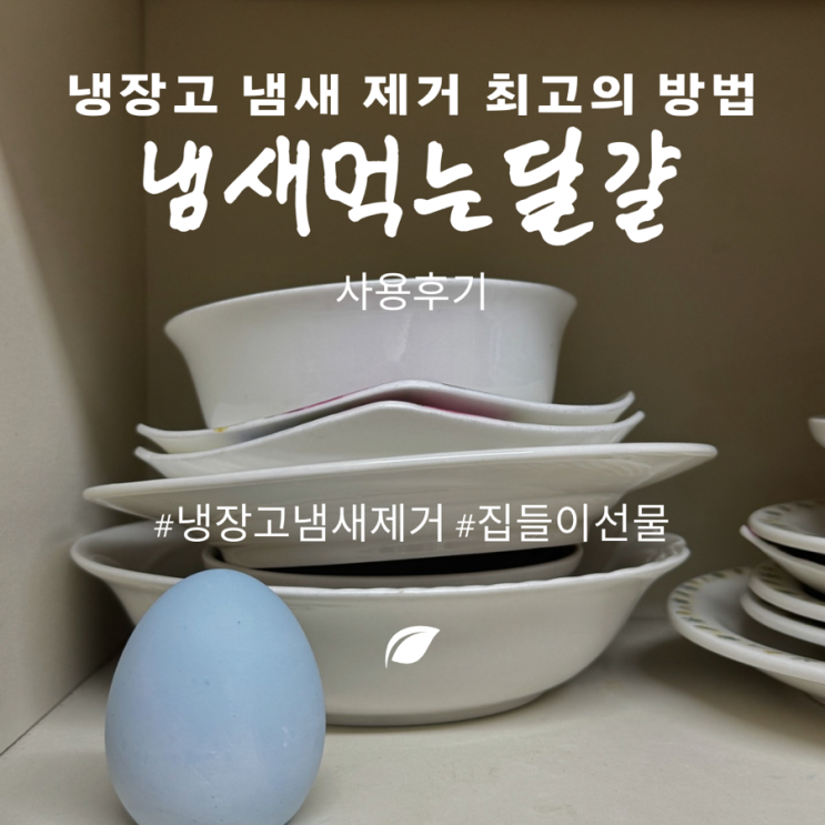 냉장고 냄새 없애는 최고의 방법! 라이프스탠다드 냄새먹는달걀