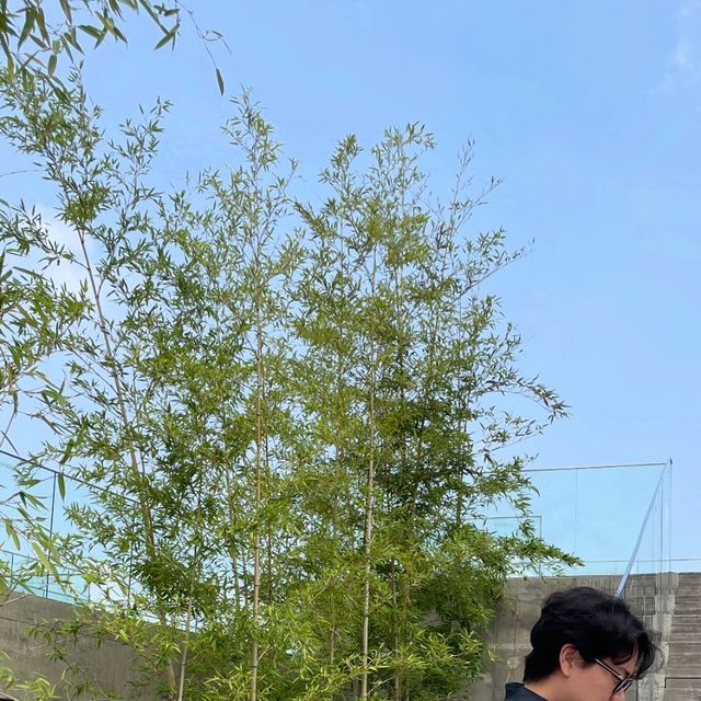 감귤인감🍊 on Instagram: "#광고 아이러니포르노 오버핏 셔츠 반팔 착용했어요💙

-8가지 색감중 저는 네이비 색가을 착용했어요.
-시티보이 오버핏 셔츠로 넉넉하고 편해요.
-후면에 핀턱은 포인트! 

시티보이 느낌을 주려고 안경도 착용했습니다🧐

#아이러니포르노 #아이러니포르노화이트라인 #IRONYPORNO #IRONYPORNOWHITELINE #시티보이 #셔츠 #오버핏셔츠 #반팔 #셔츠반팔 #Shirt #패션계정맞팔 #맞팔환영"