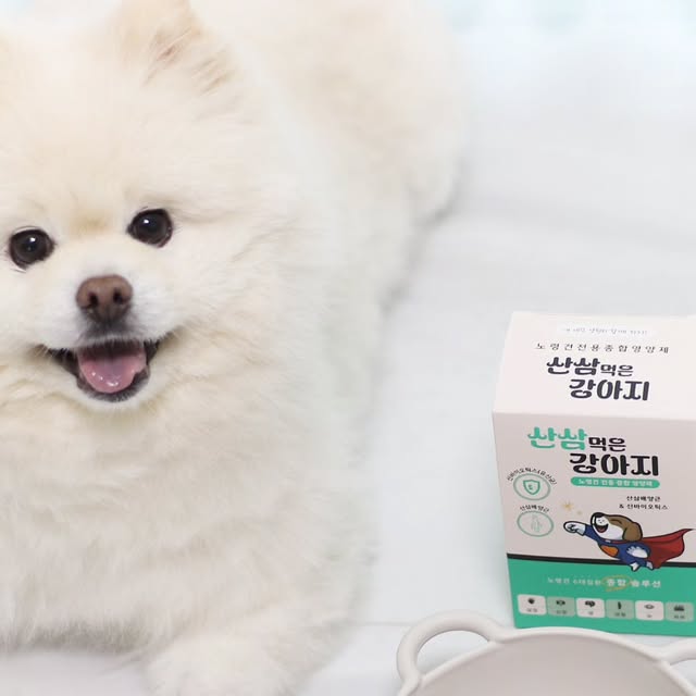 사라 on Instagram: "#광고 
노령견 전용 #강아지영양제
✨️산삼먹은강아지✨️

우리 강아지가 이제 노견의 나이가 되었는데요~

요즘따라 식욕도 부진하고 활동량도 줄어 걱정이라
요즘 신경써주려고 강아지종합영양제인
산삼먹은강아지 먹이고 있답니다.

산삼배양근과 특허출원중인 신바이오틱스를 함유하고 있는
노령견 전용 종합영양제인데요~🌿

요거 하나로
심장 눈 관절 피부 노견 오메가3까지 
모두 챙겨먹일 수 있답니다~😊

저도 매일 사료에 섞어주고 있는데 아주 잘 먹네요!

우리 아이들의 본격적인 노령기에 접어들기 전에
미리 미리 챙겨먹이며 관리해주세요!!

✔️ 현재 오픈이벤트 - 복수구매할인 - 진행 중입니다. 
https://smartstore.naver.com/greenbugs723/products/11880812112

#강아지종합영양제 #강아지유산균 #강아지오메가3 #강아지비타민 #강아지심장영양제 #강아지관절영양제 #강아지슬개골영양제 # 강아지기침 #강아지눈물 #강아지눈영양제 #강아지피부영양제 #노령견영양제 #노견영양제 #강아지면역력 #강아지항산화 #강아지프리바이오틱스 #강아지장영양제 #산삼먹은강아지"
