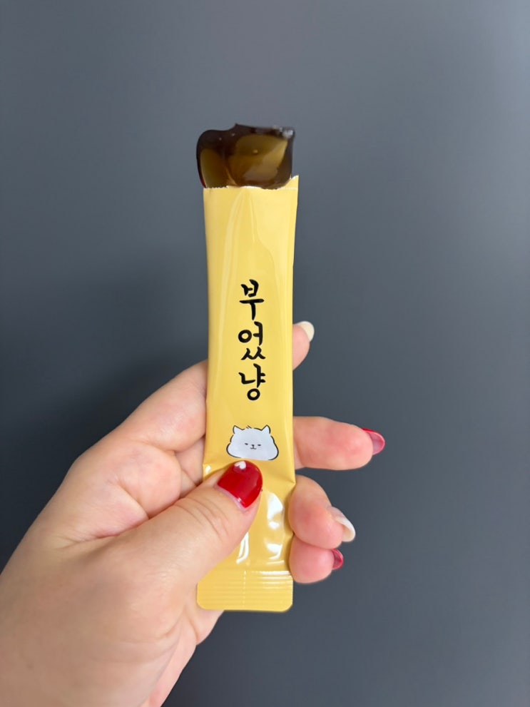 부었냥 늙은호박 스틱 젤리 호박티니아로 가벼운 하루 보내기