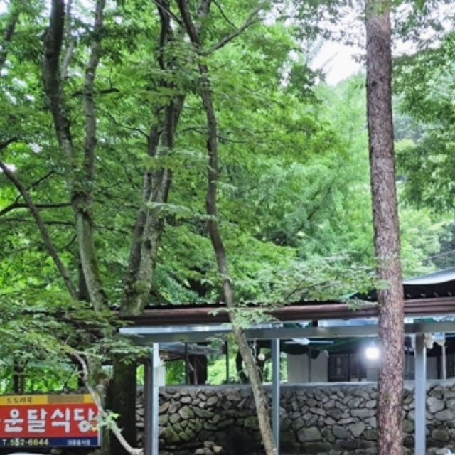 빈앤준 on Instagram: "#광고

여름엔 #계곡백숙맛집 필수잖아요~~~~👉👈

김룡사 근처 운달계곡에 있는 김용운달식당 요기 찐 👍

계곡 바로 옆에 계곡이 있어 아이들 물놀이 하기두 좋구
공간이 넓어 식구들이나 친구들끼리 다같이 오면 딱!!!

계곡 옆에 물소리 들으면서 
맛있는 음식 먹는 것만으로도 힐링이드라구요.

닭백숙, 감자전, 도토리묵 먹었는데
닭백숙은 닭이 진짜 부드럽구
국물이 정말 담백해서 몸보신 하는 느낌이 제대로임!!

참고로 백숙은 50분~1시간 정도 걸리니 미리 예약하고 가면 빨리 드실 수 있어욤.

✔️바삭바삭한 감자전이랑 새콤달콤 도토리묵도 짱맛이구~~
자연 속에서 좋은 공기 느끼면서 몸보신까지 하고 오니까 너무 좋드라구요. 주말 맛집나들이 계획중이라면 #문경계곡맛집 에서 힐링하구 오세요💕

🍴김용운달식당
주소 : 경북 문경시 산북면 김용길 305
영업시간 : 11:00 ~ 20:00 / 18:30 라스트오더
전화번호 : 054-552-6644

#운달계곡 #김용사 #김룡사 #문경계곡백숙 #문경백숙
#문경가볼만한곳 #문경여행 #문경계곡펜션 #맛집리뷰 #식당리뷰 #김용리"
