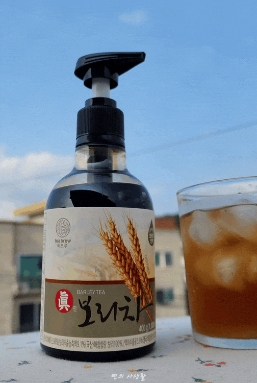 물 못 마시는 직장인의 구원템! 맥널티 티브루 진보리차 후기