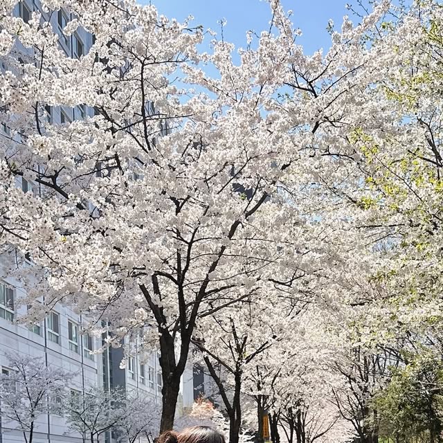 🤍ⓖⓞⓞ ⓖⓞⓞ🕊🤍 on Instagram: "#광고 푹신하고 포근한 무드 🖤 가볍게 툭 걸쳐도 아웃핏은 확실한 패딩 오사와 네즈 웨빙 크롭 하이넥 패딩은 크롭한 기장감 덕분에 비율까지 예뻐 보
