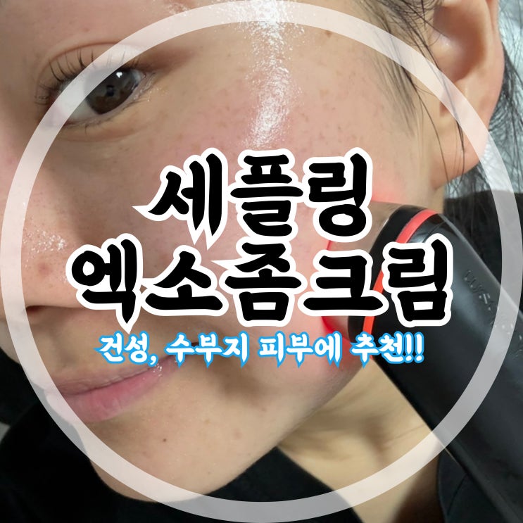 건성, 수부지 피부에 추천!! 줄기세포 보습크림 솔직후기 [세플링 엑소좀 크림]