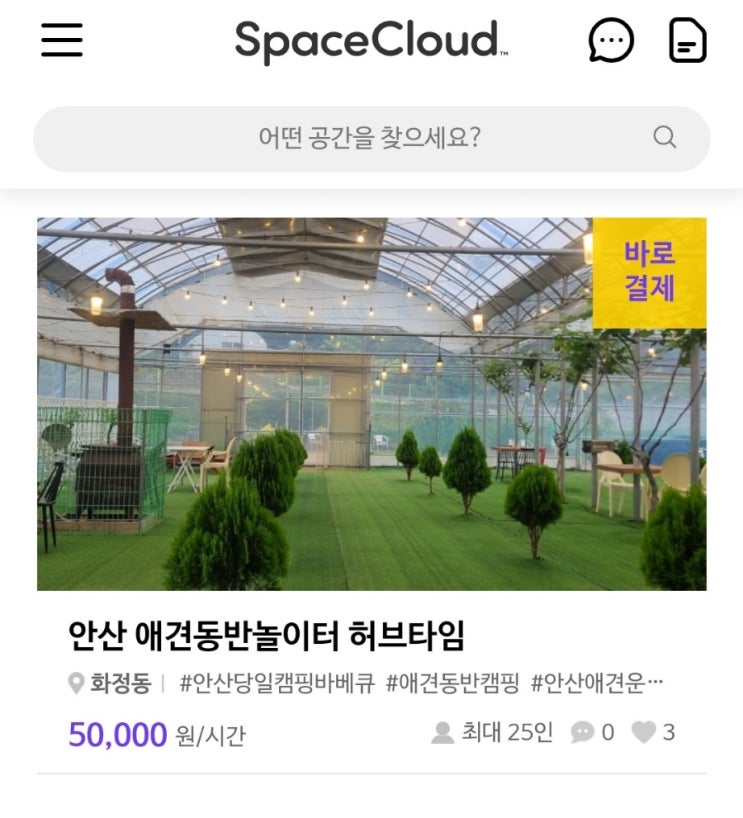 애견동반 강아지 운동장 강아지 마당대여 안산 스페이스클라우드