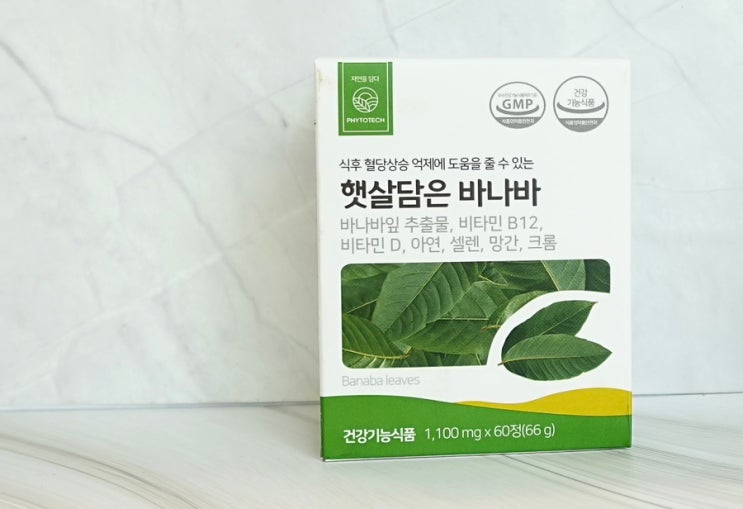 파이토테크 햇살담은바나바 40대 혈당관리 오징어약사 추천