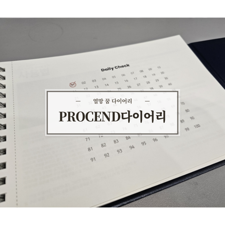 [제품] 100일의 기적ㅣ열망다이어리ㅣPROCEND 다이어리